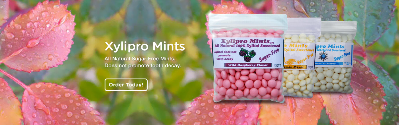 Xylitol Pro Nature's Provision Mints Products